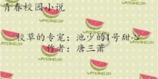 森系丛林