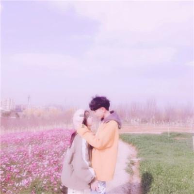 拯救穆尔小马