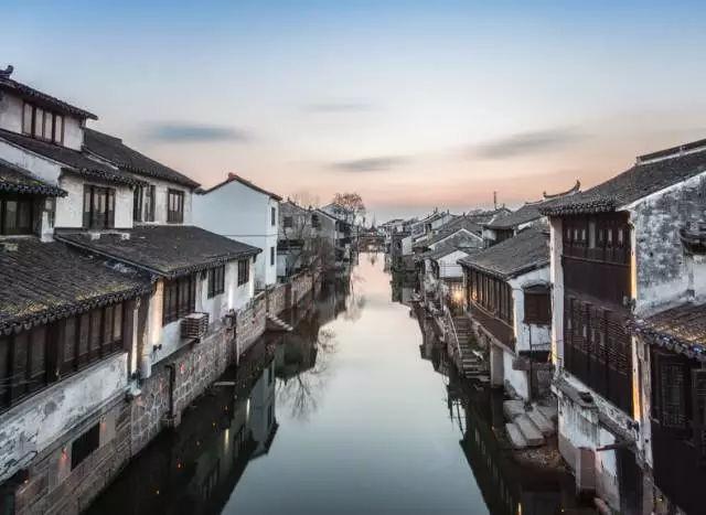 动物帮帮忙保卫家园