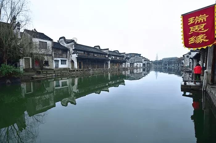 逃离仿真森林